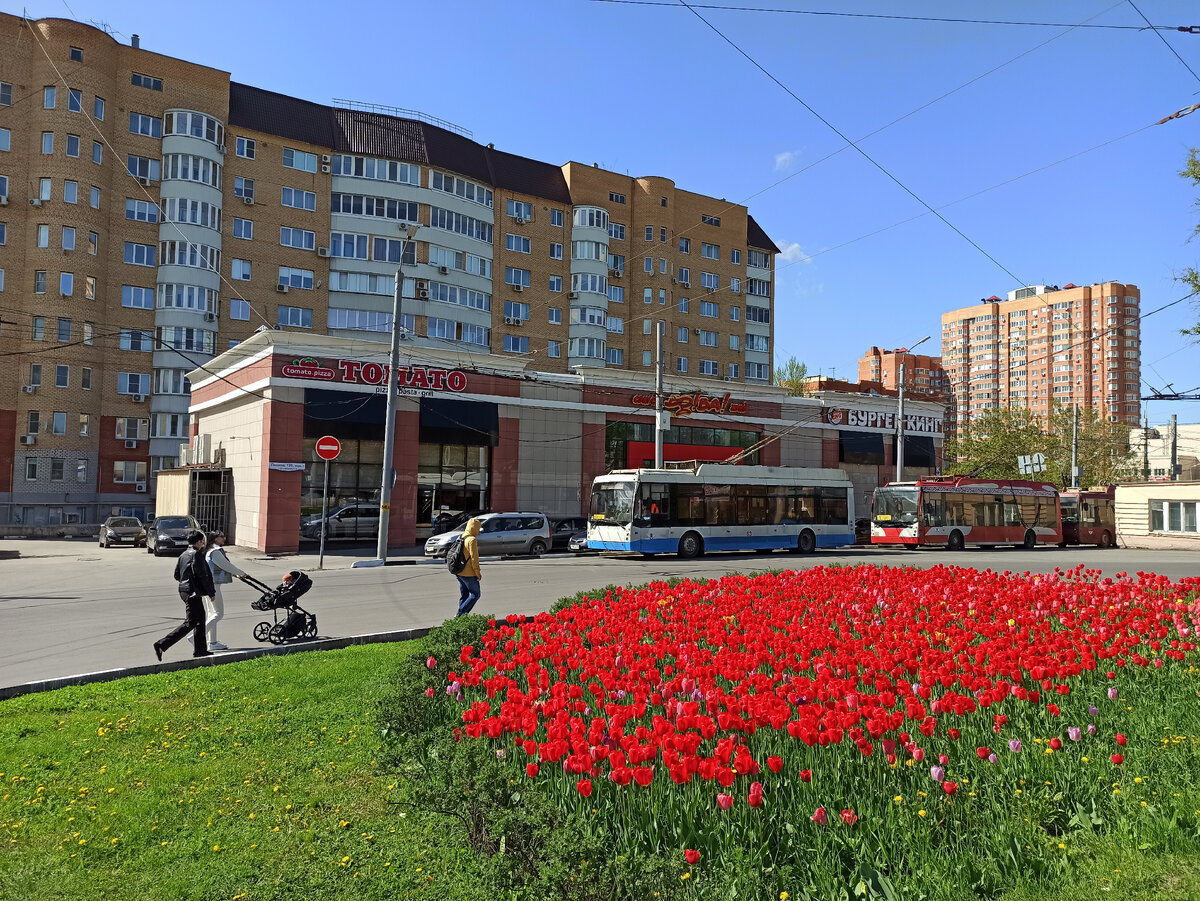 Фото автора.  Не самая красивая клумба