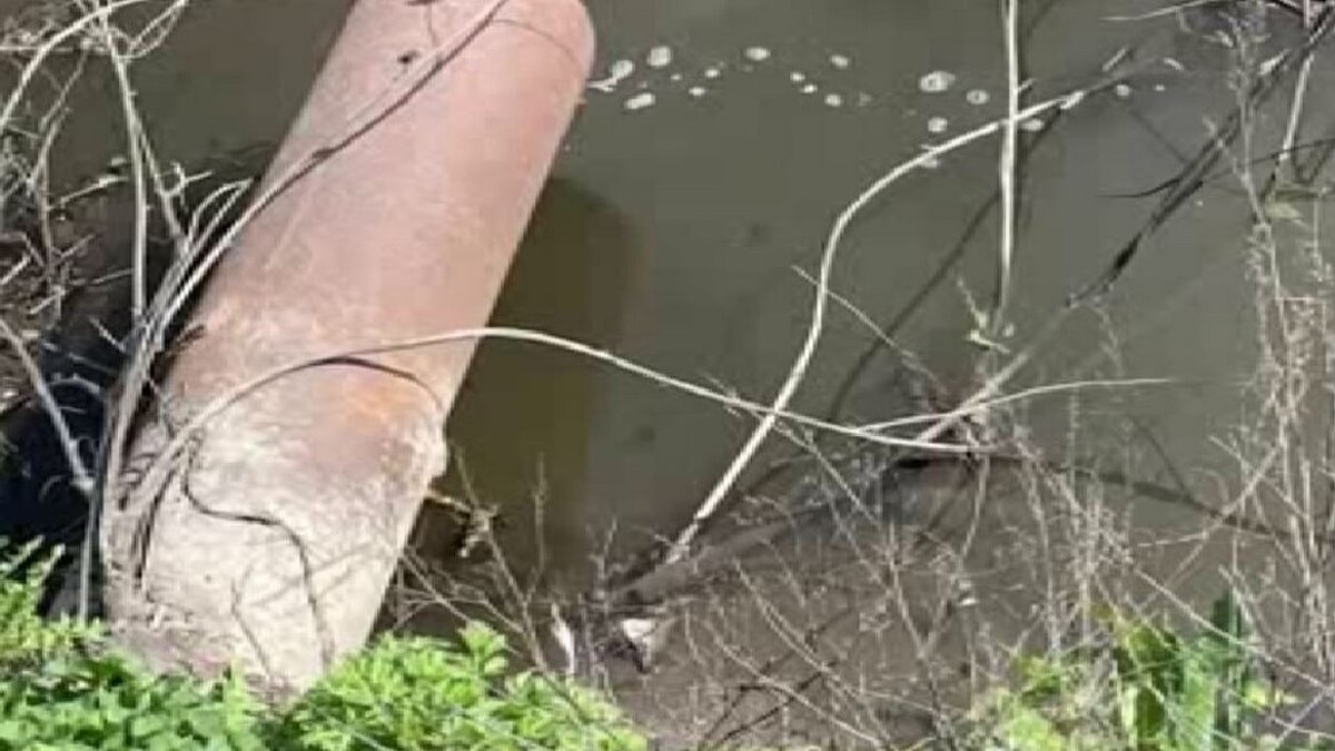    В Курске на реке Тускарь обнаружили голубое пятно с неприятным запахом