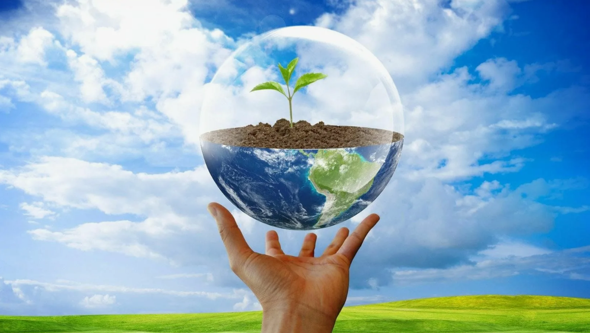 Сохранение биоразнообразия