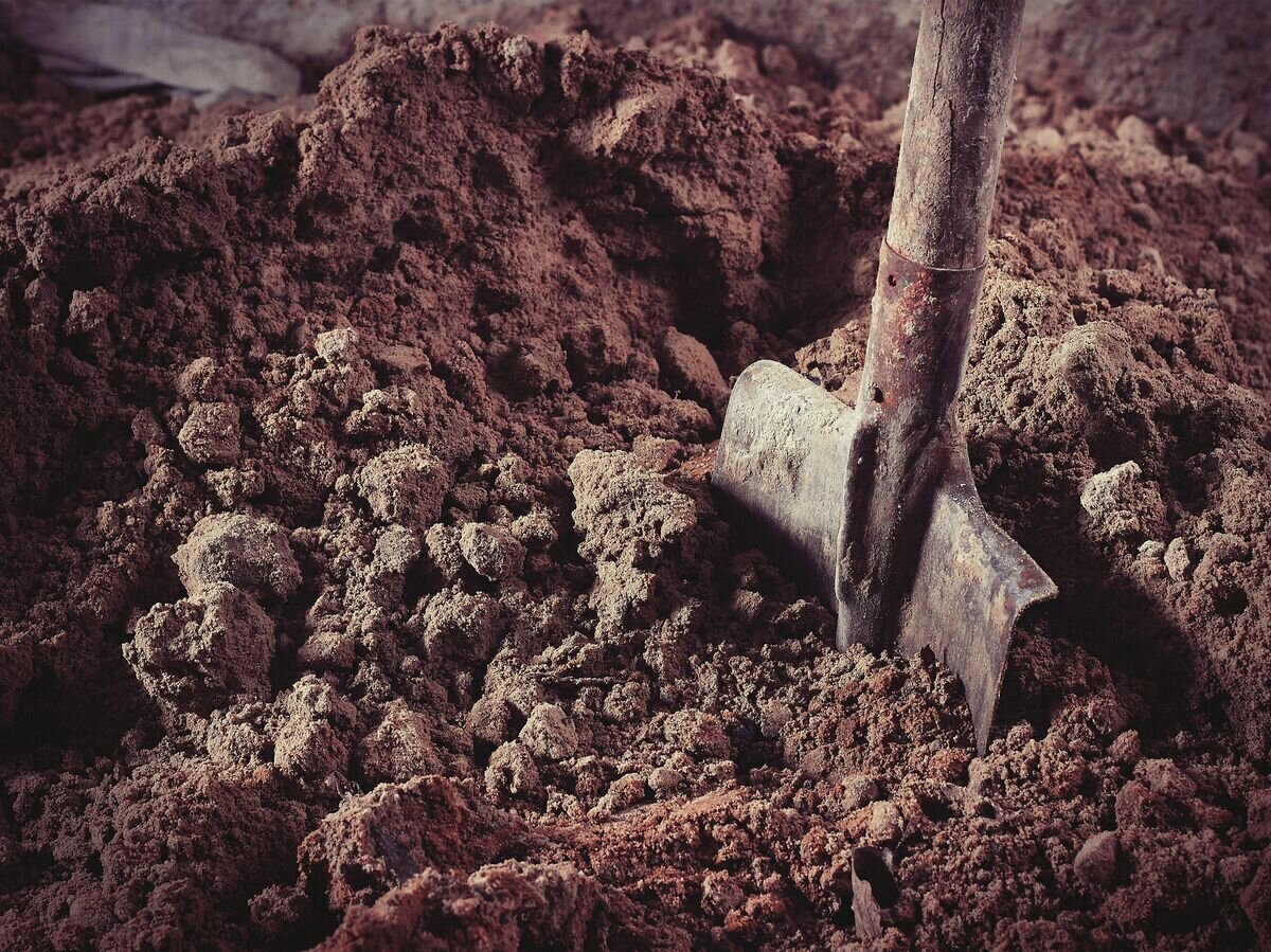    Лопата в песке© Depositphotos.com / PhotoWorld