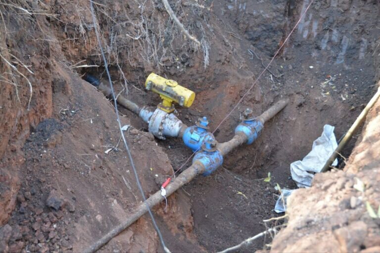    Экс-президент оренбургской федерации ММА Виктор Фролов выслушал приговор за хищение нефти Кристина Просвиркина