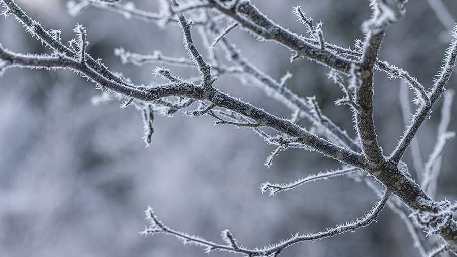 Фото: ИЗВЕСТИЯ/Константин Кокошкин