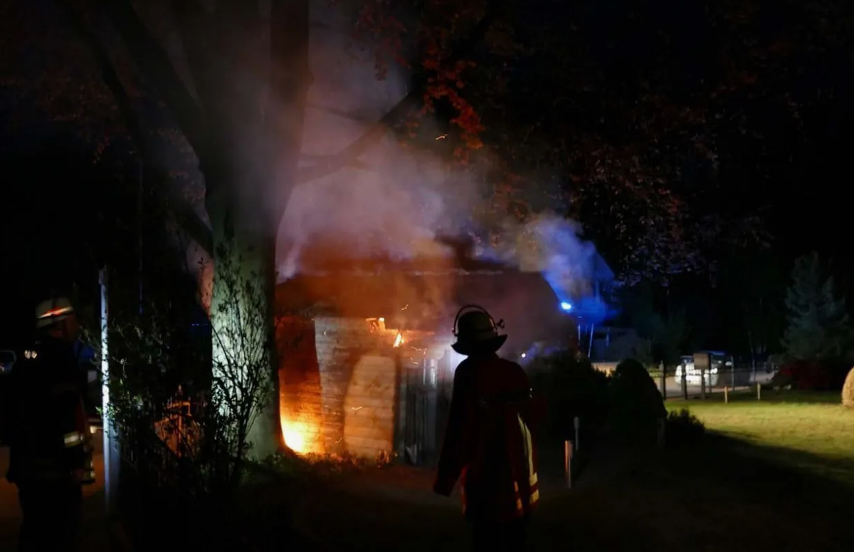 Фото из открытых источников