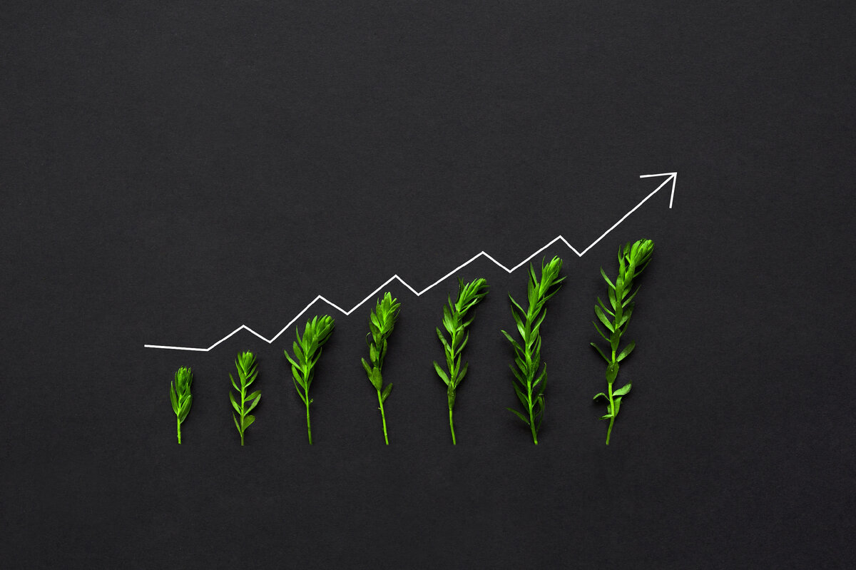 Источник: https://www.forbes.com/sites/forbeshumanresourcescouncil/2024/03/01/when-companies-grow-and-scale-hr-is-a-key-partner/?sh=1d98e4af582d
