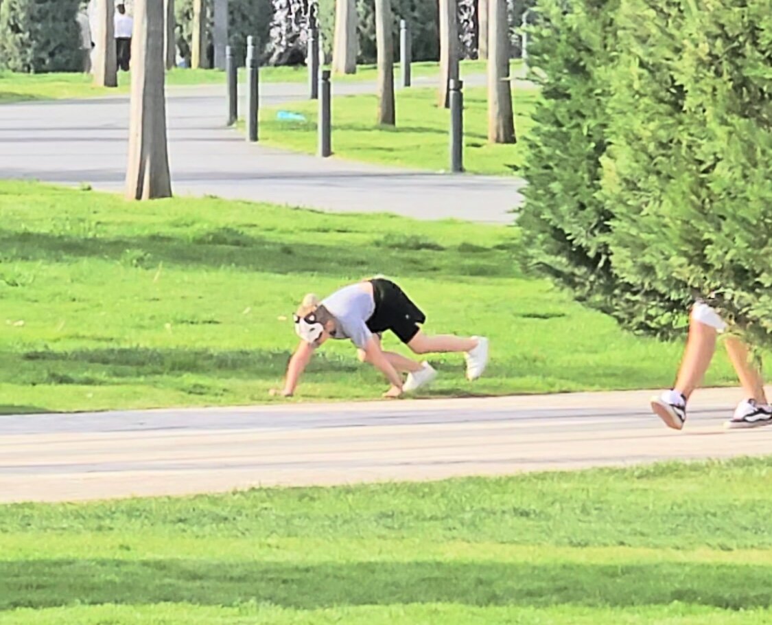 Фото из открытых источников Яндекс 