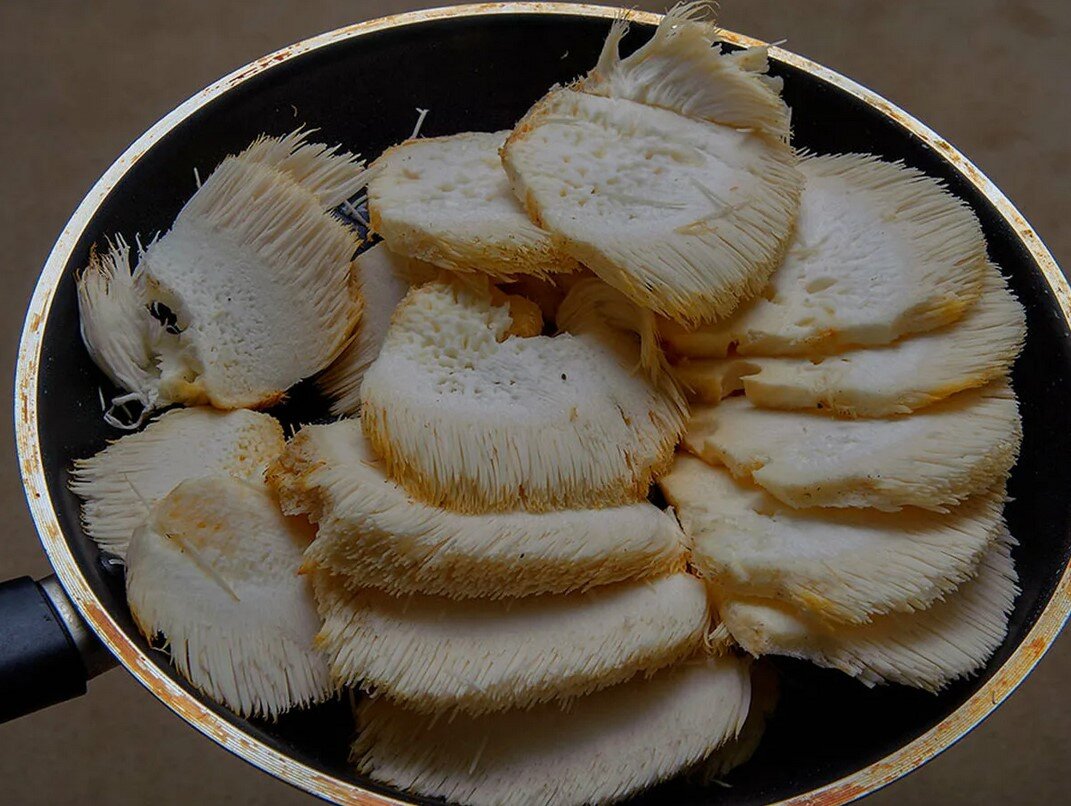 Ежовик гребенчатый – это не только полезный гриб для здоровья. Он съедобен и обладает неповторимым вкусом.