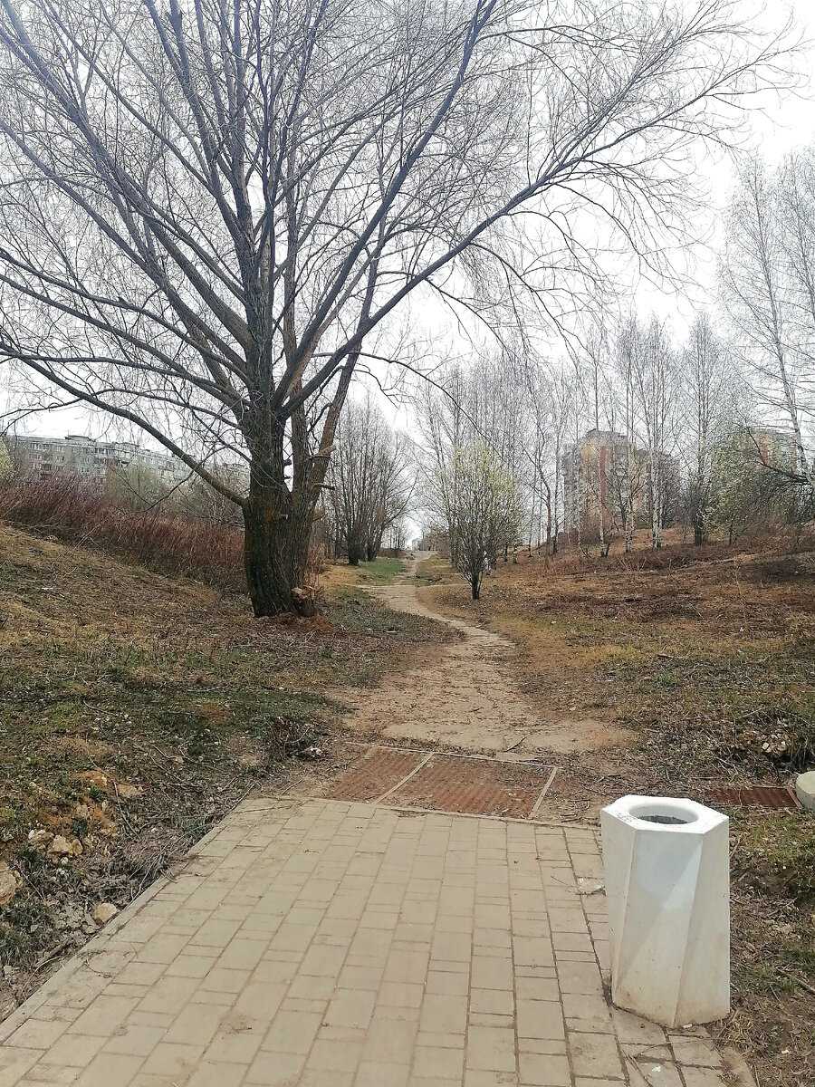 Так выглядит спуск. Камера ещё склон плохо передаёт. Где-то спустя время от начала спуска начинается дорога и стоит гордая урна