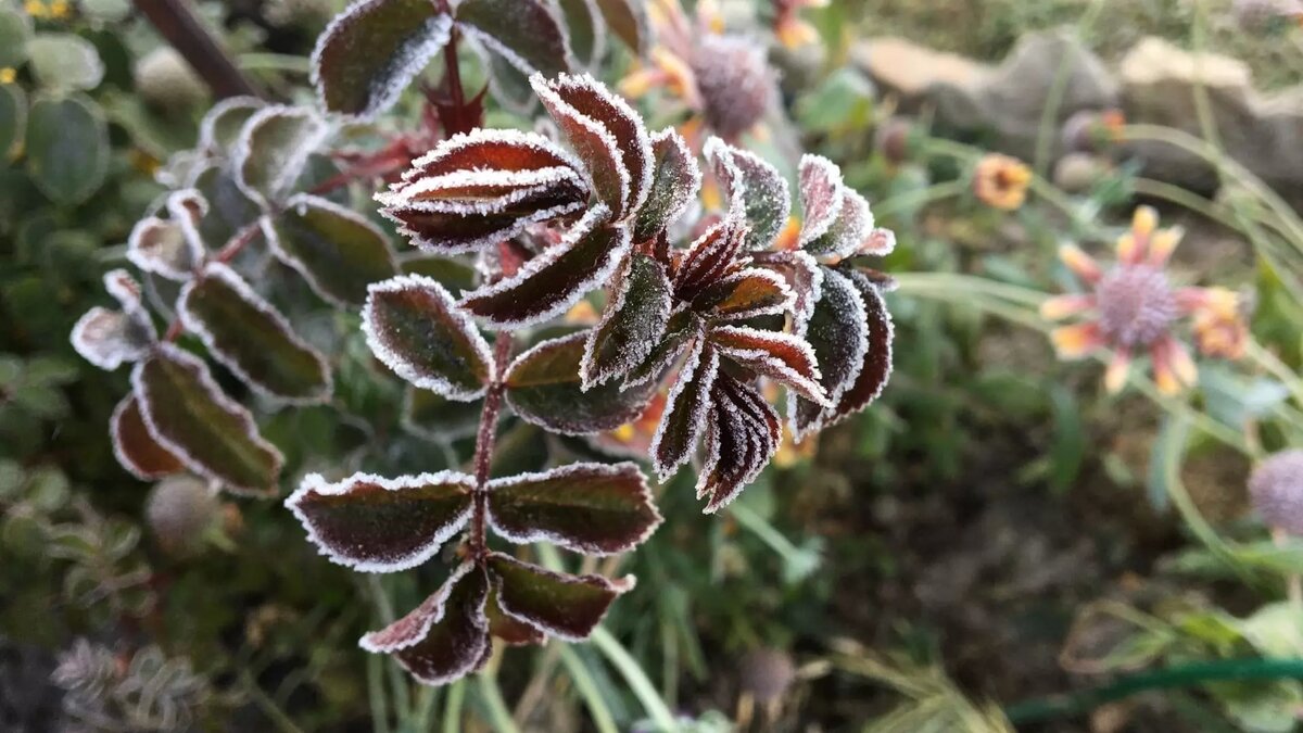     Источник: newsnn.ru