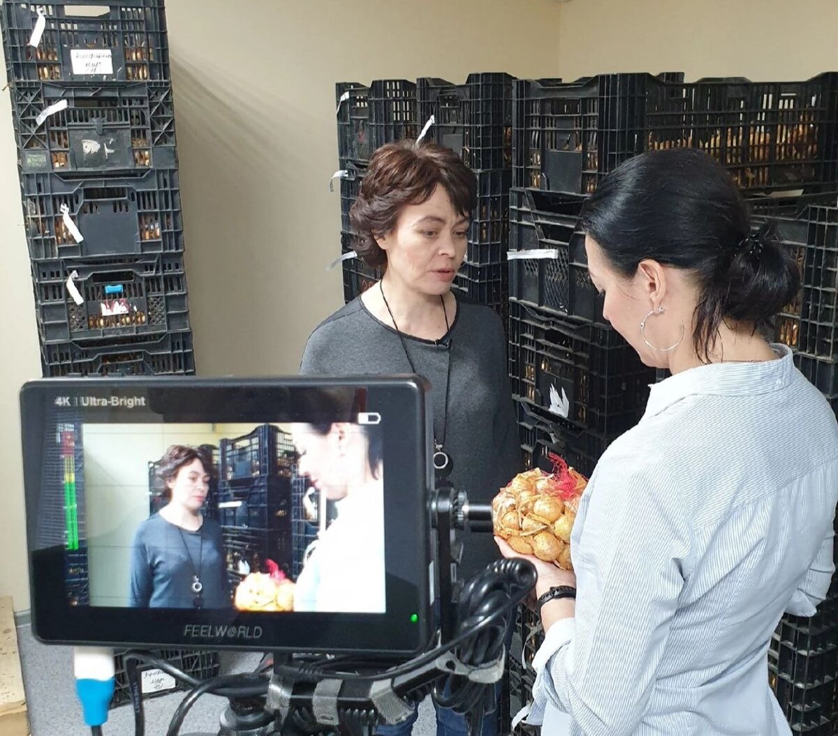 Татьяна Штайнерт и Оксана Лыткина съемки обзора лука Шалота для компании "Уральский Дачник" 2022 год