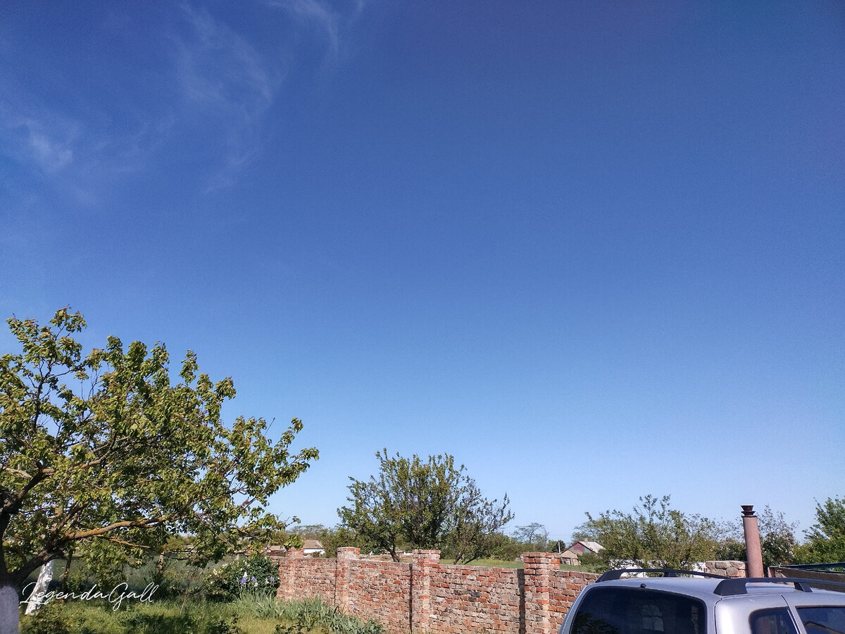 Утреннее небушко. Обратите внимание, ветки не гнутся больше ))