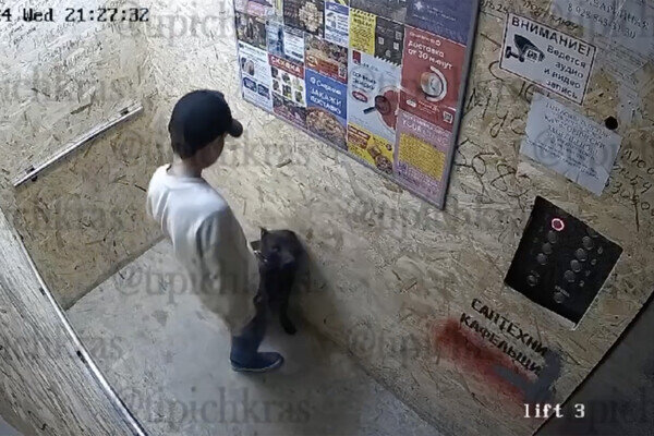 Телеграм-канал Краснодар | Телетайп