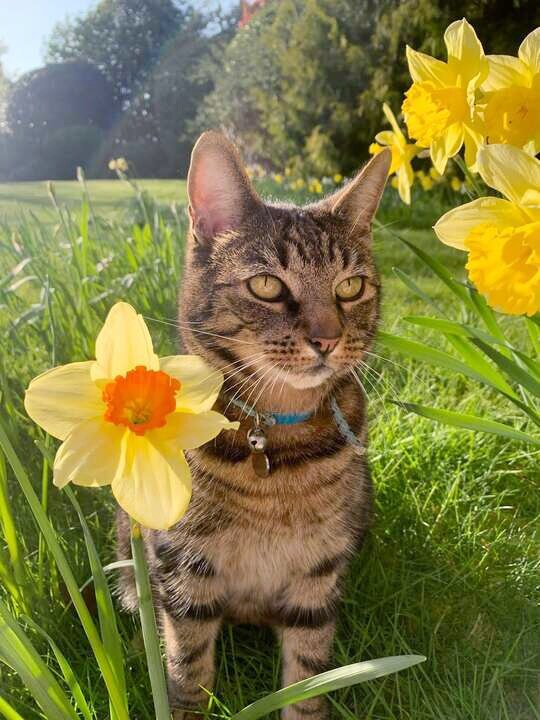 Источник: Яндекс картинки