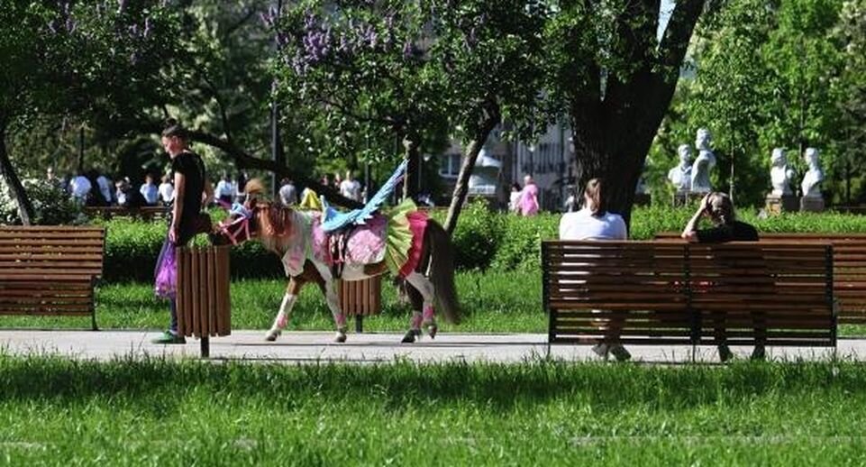    РИА «Новости»