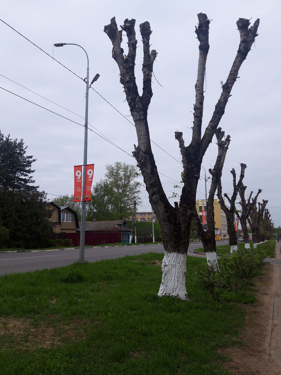 Разве это красиво?...