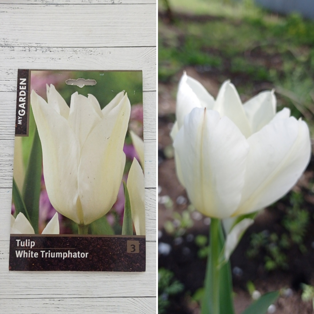 Коллаж автора