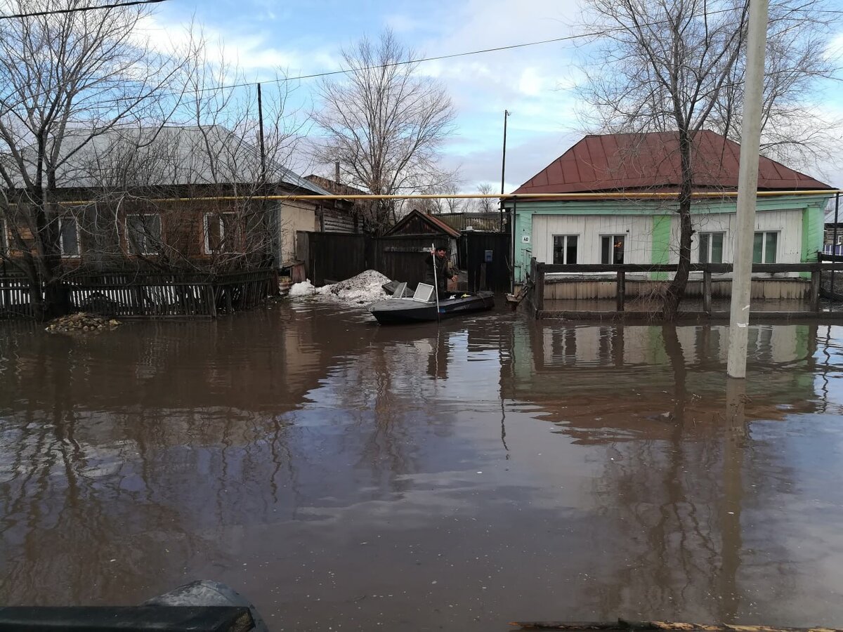 В чем причина наводнения в РФ: грызуны, ужасная дамба, снег или...? |  Туризм и путешествия - Travel247 | Дзен