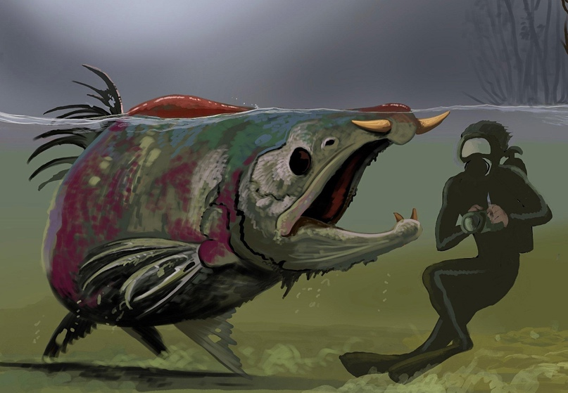 Oncorhynchus rastrosus и водолаз для сравнения