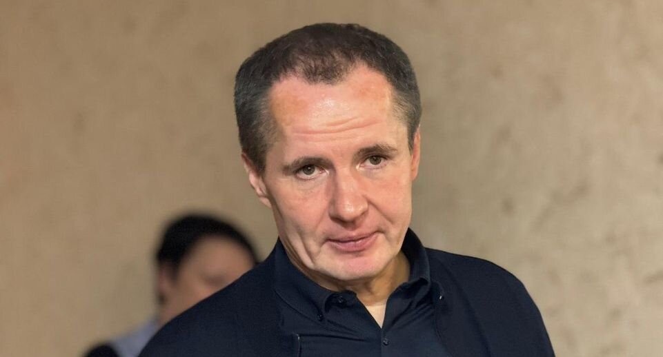    Губернатор Белгородской области Вячеслав Гладков / Telegram