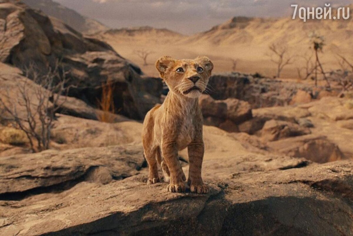    «Муфаса: Король Лев», 2024 кадр из фильма