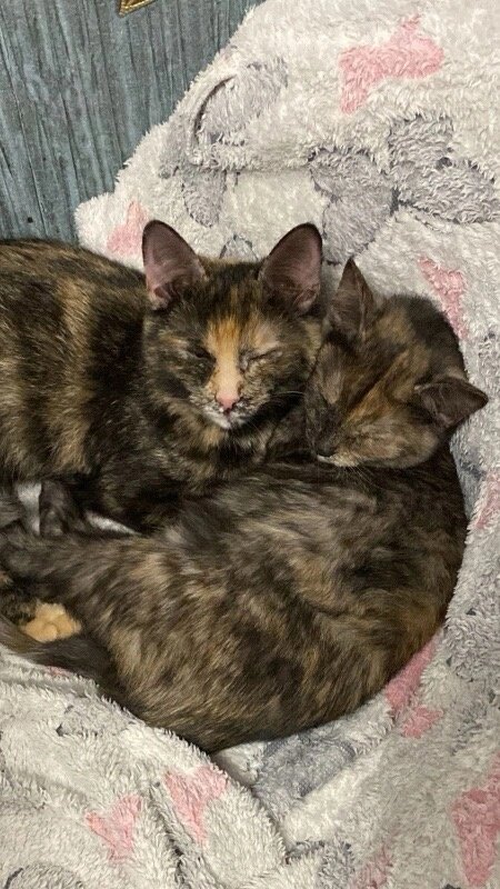 Фото- собственность канала