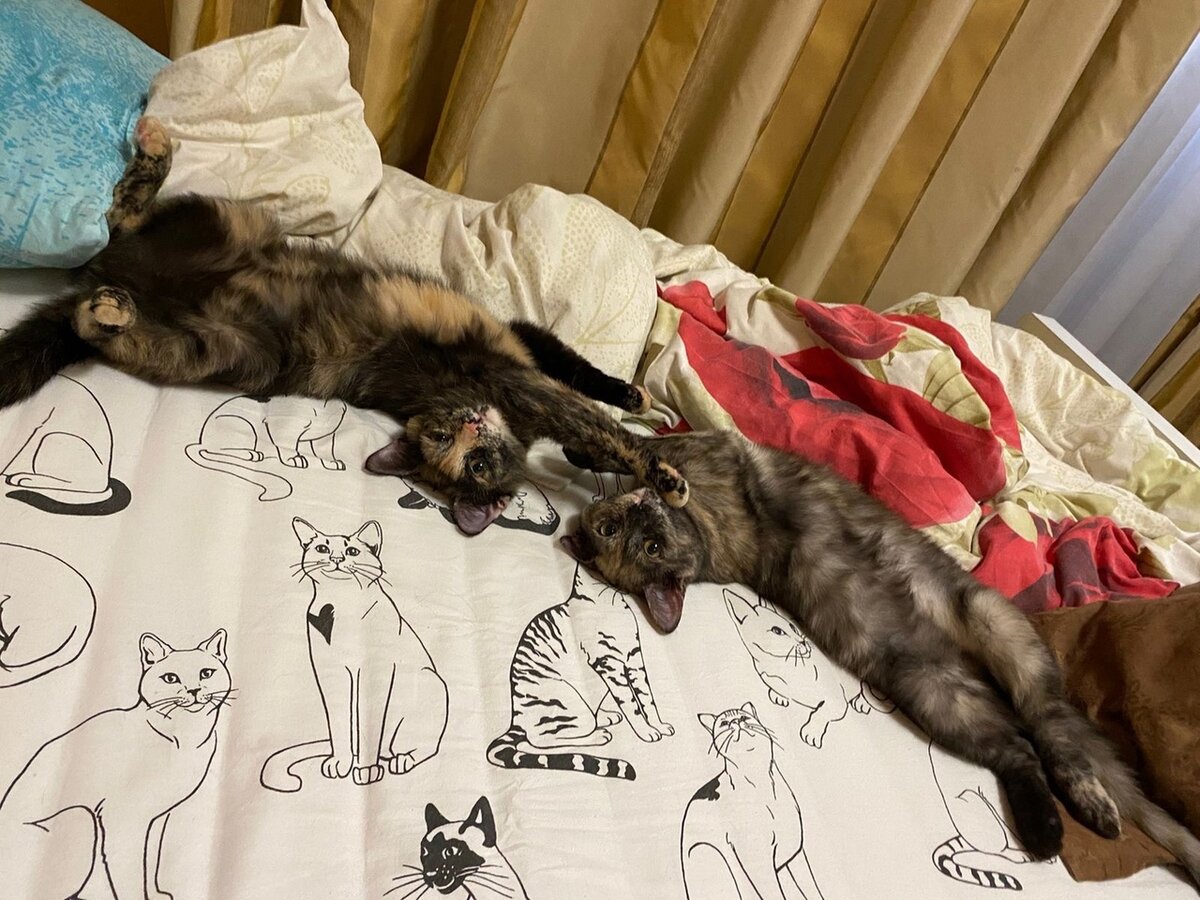 Фото- собственность канала