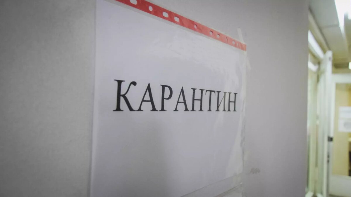     Источник: 1MI
