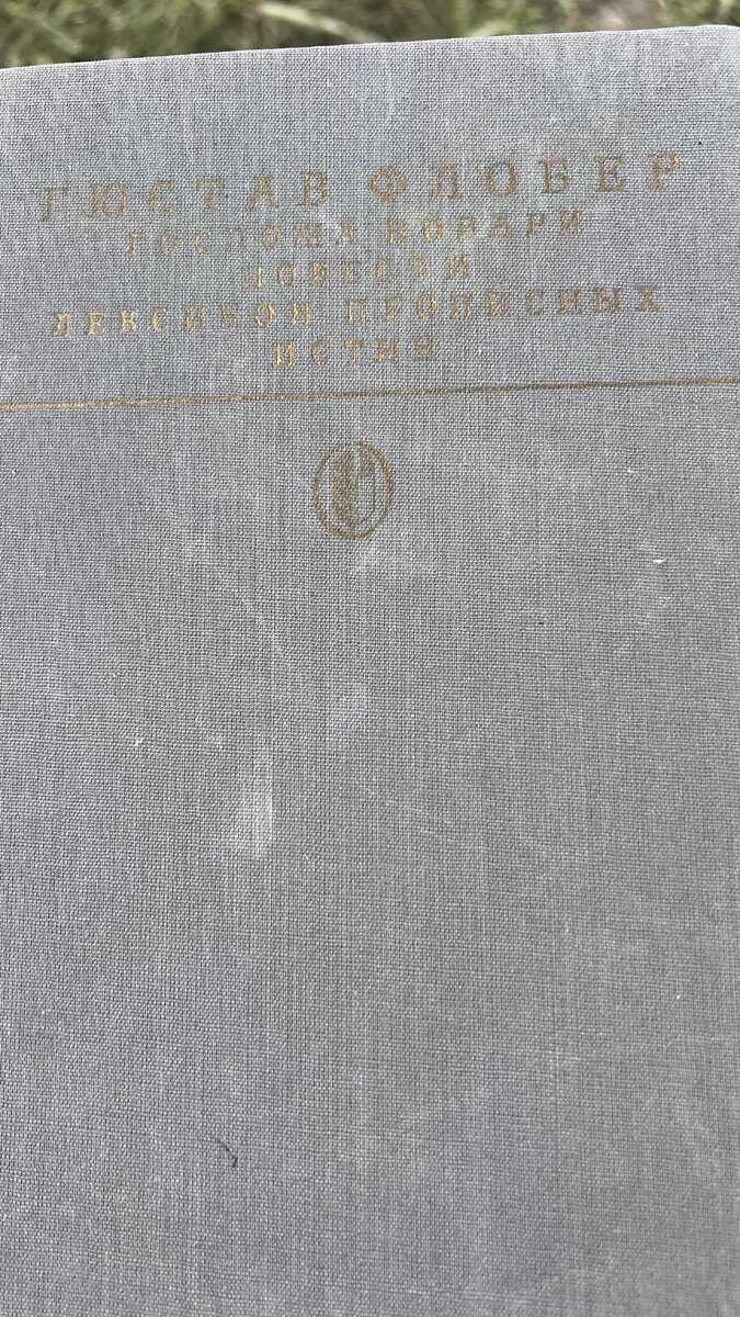 Флобер 1989 года