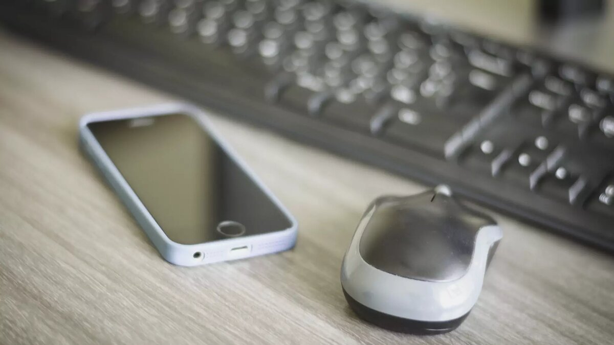     Источник: 1MI