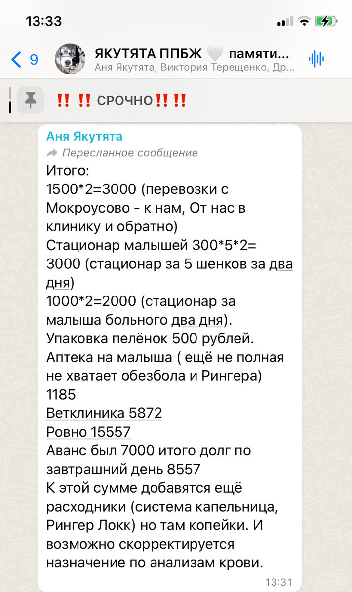 Если якуты или вахтовики нам не помогут, то можно хоронить идею со  спасением собак с тайги | Якутята ППБЖ г. Якутск | Дзен