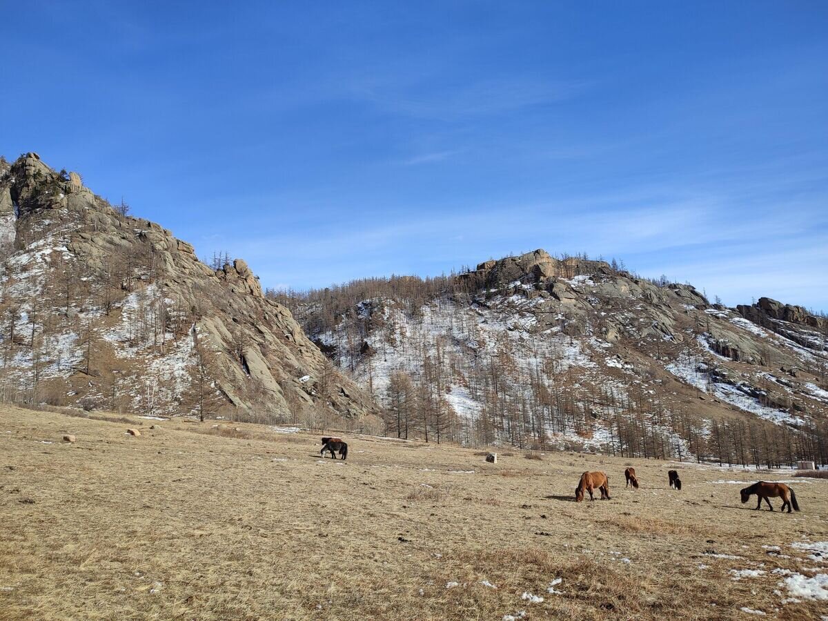     Монгольский пейзаж© РИА Новости / Игорь Манаширов