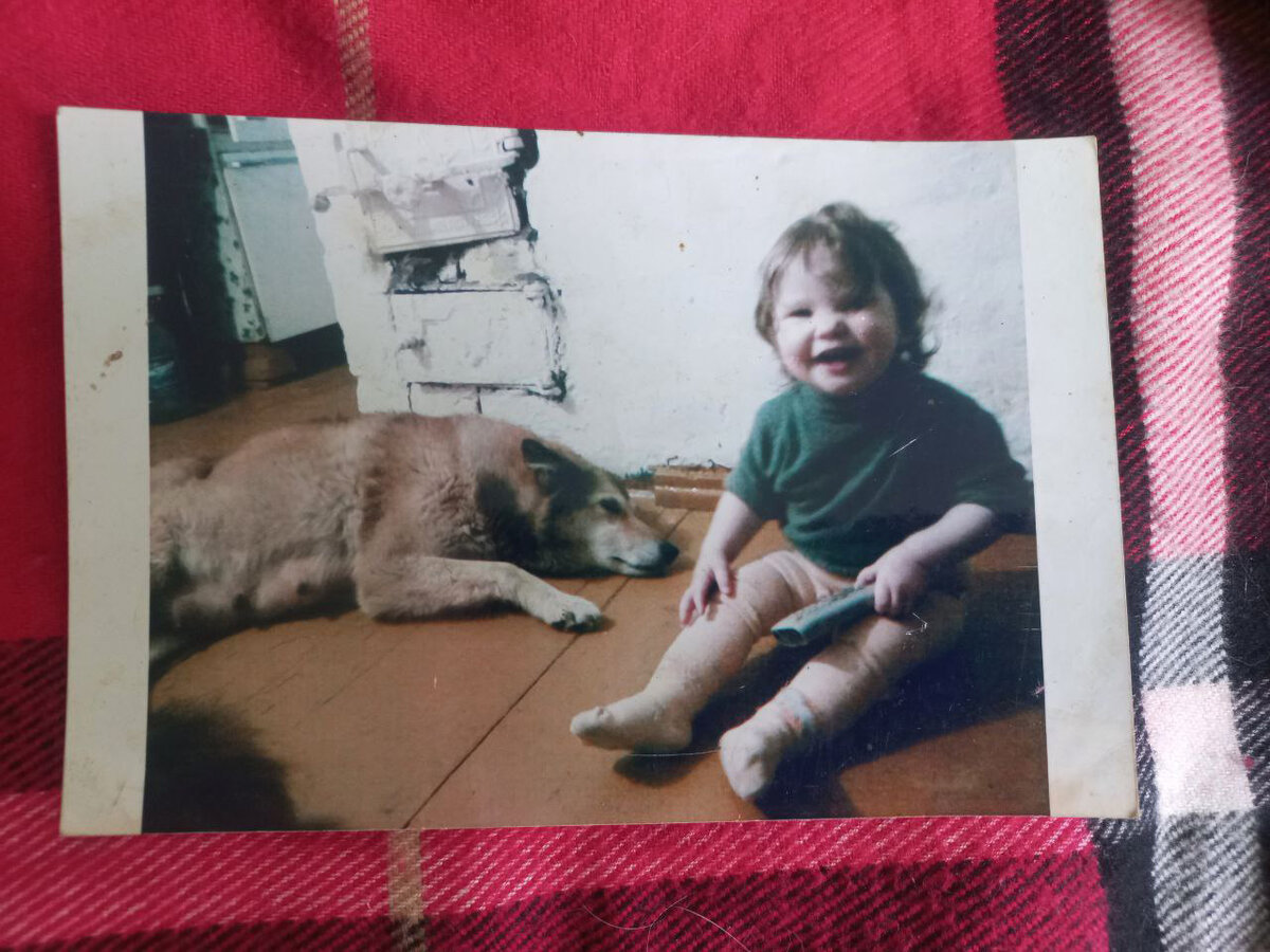 Яна, та печка которую нужно было топить, рядом собака породы Лайка 