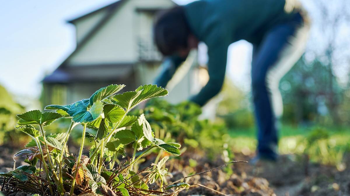    Фото: Shutterstock