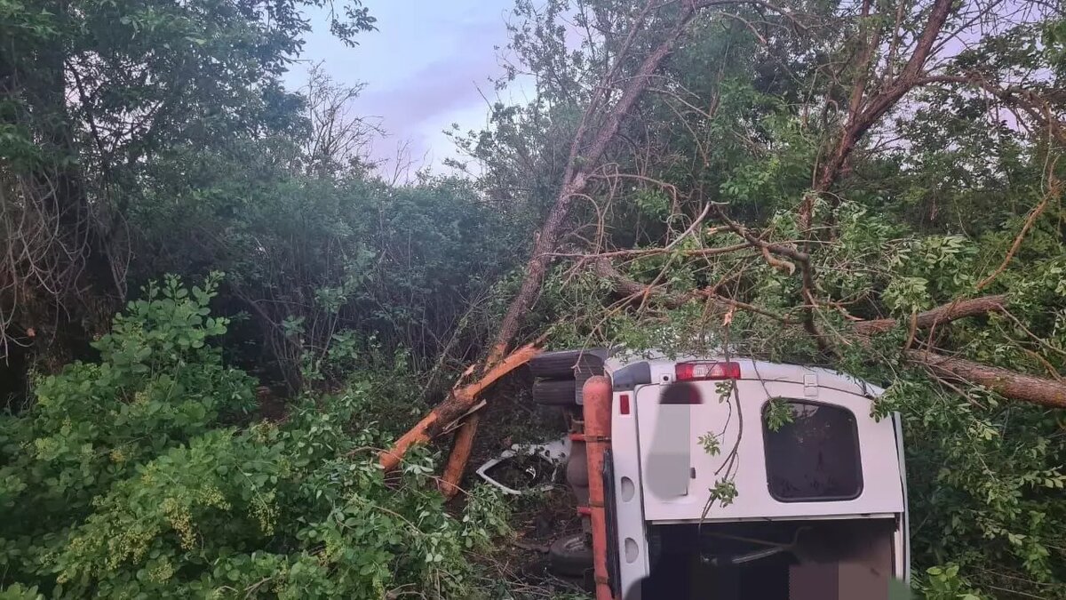 Двое погибли и трое ранены в страшной аварии с маршруткой из Сальска |  RostovGazeta.ru | Дзен