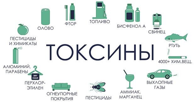 Токсины - работа для печени