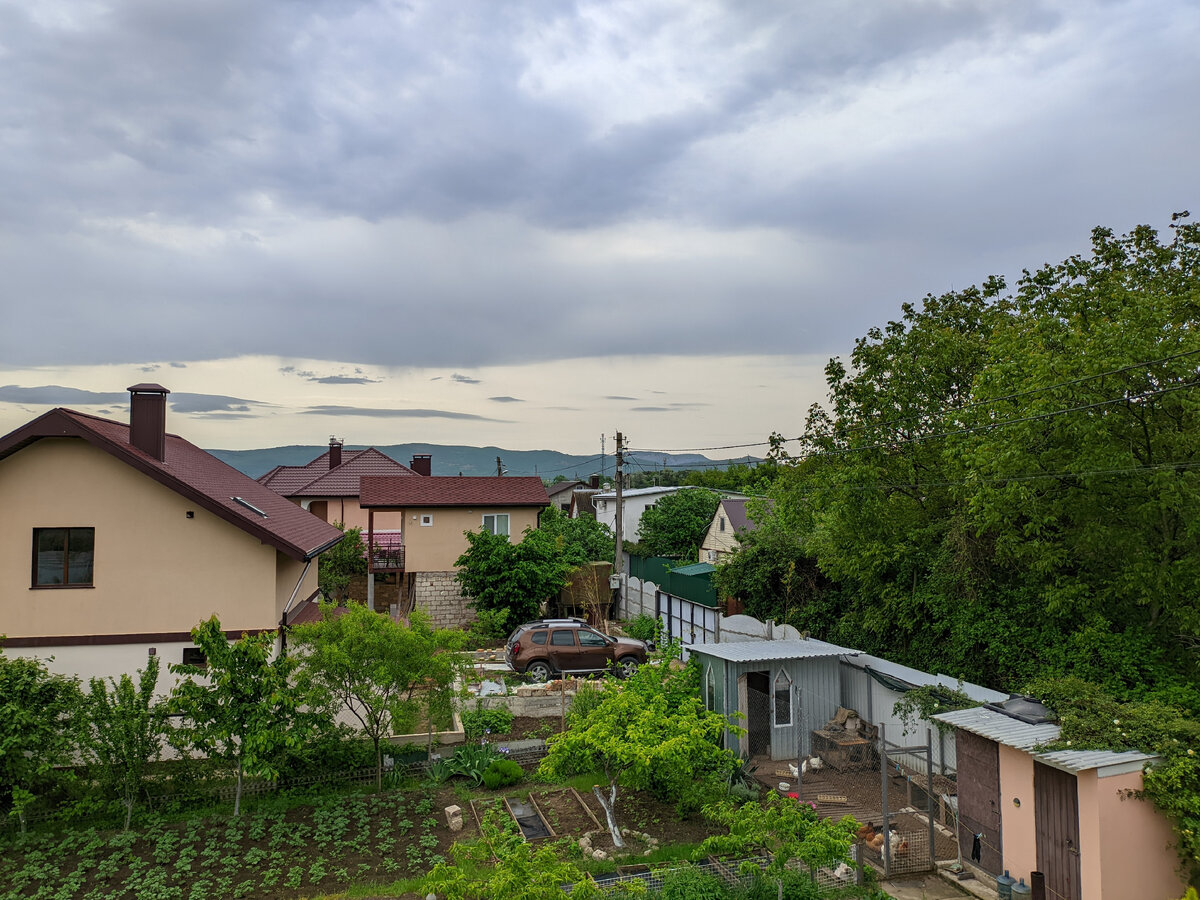 Первая домашняя клубника, Балаклава и отъезд гостя. Дневник Крымского  Карела. | Сбывшиеся мечты. | Дзен