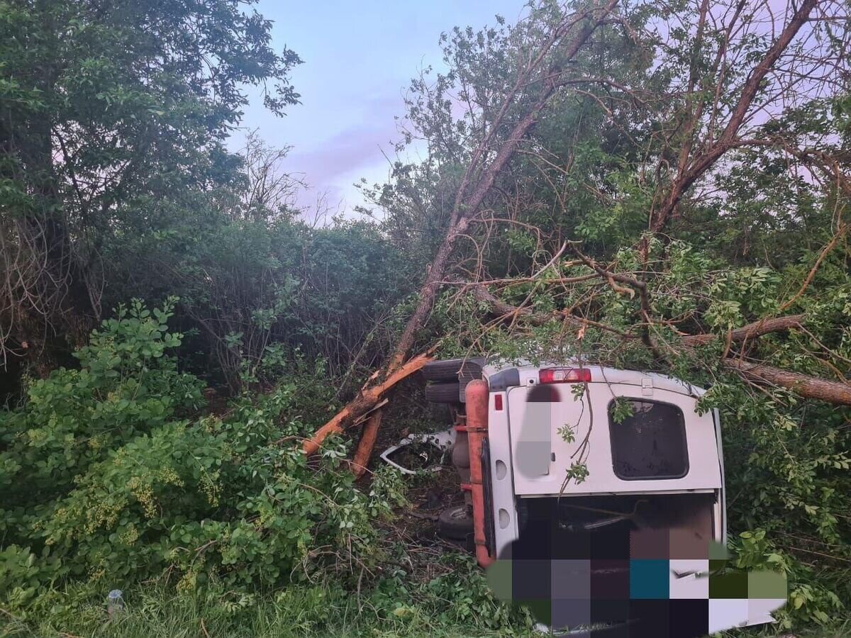    Маршрутка съехала в кювет и врезалась в дерево в Красногвардейском округе Ставропольского края© ГИБДД Ставропольского края