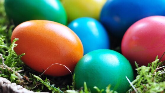    Академик рассказал, сколько яиц и кулича можно съесть на Пасху без вреда здоровью Анастасия Романова