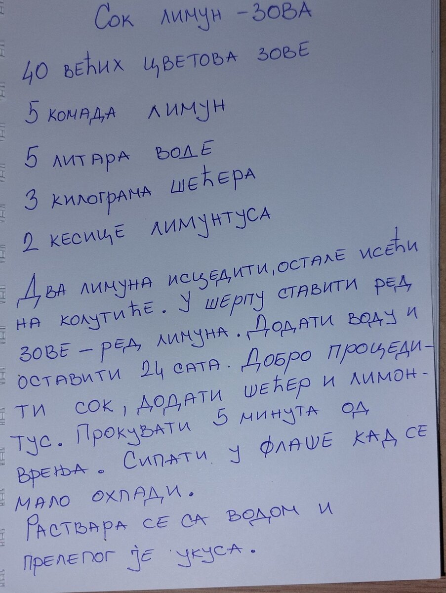 Бузина черная - почему ее обожают в Европе (и в Сербии в том числе) | Пишу  просто потому, что пишу 🇷🇺 🇷🇸 (о Сербии и Петербурге с любовью) | Дзен