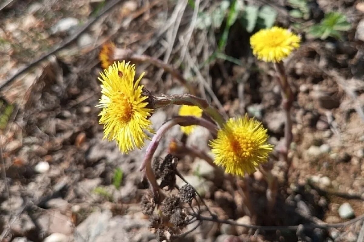   Стало известно, какой будет погода в Приморье 9 мая