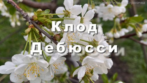 Клод Дебюсси. Грезы. Музыка для души