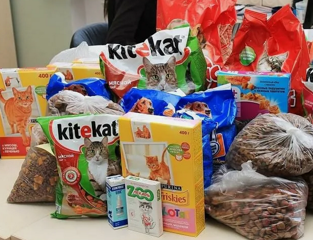 Фото из Интернета 