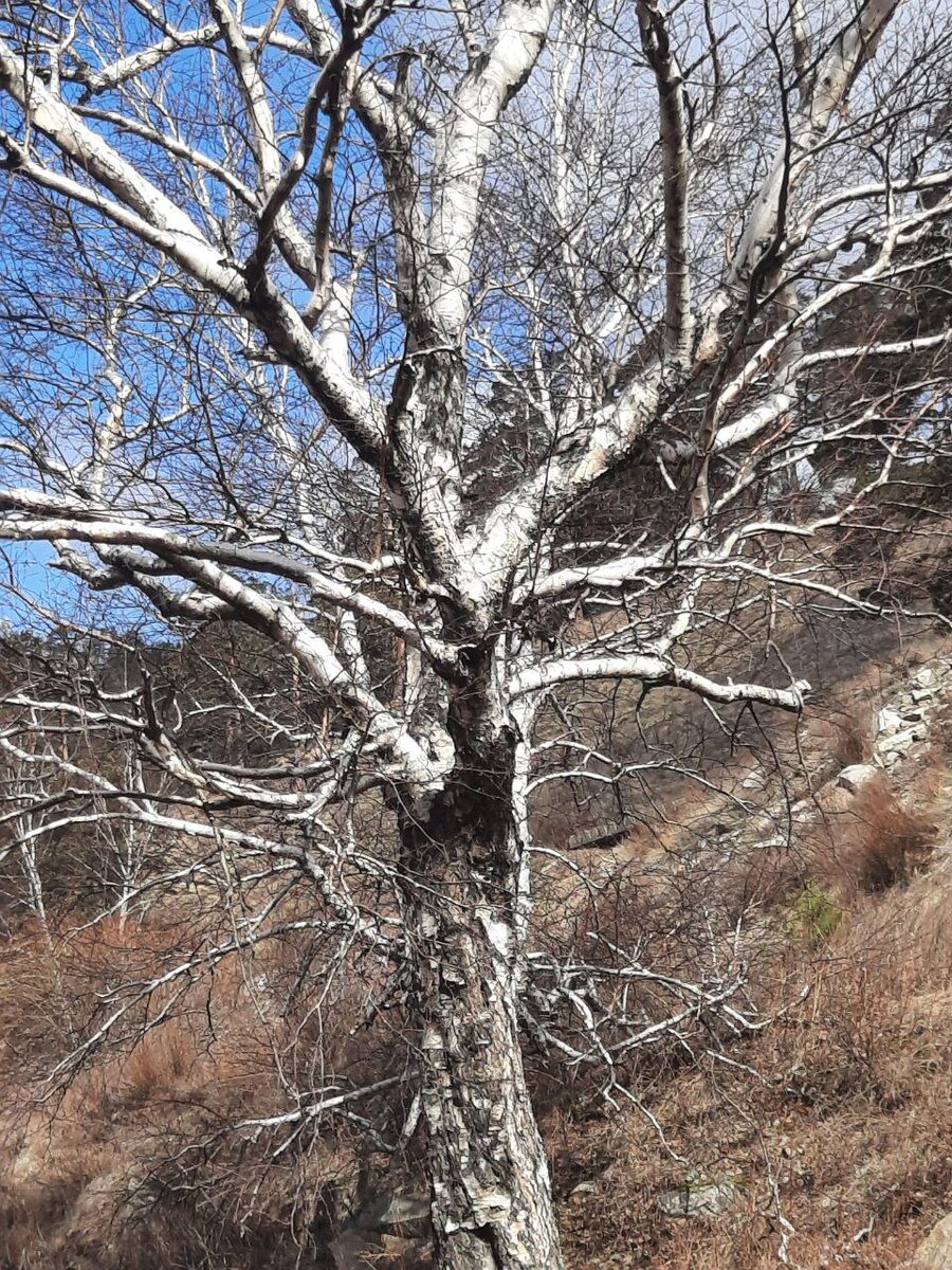 Фото автора.