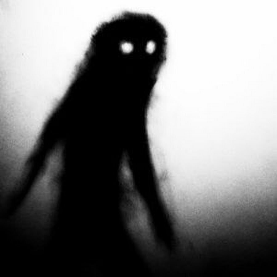 фото с просторов интернета