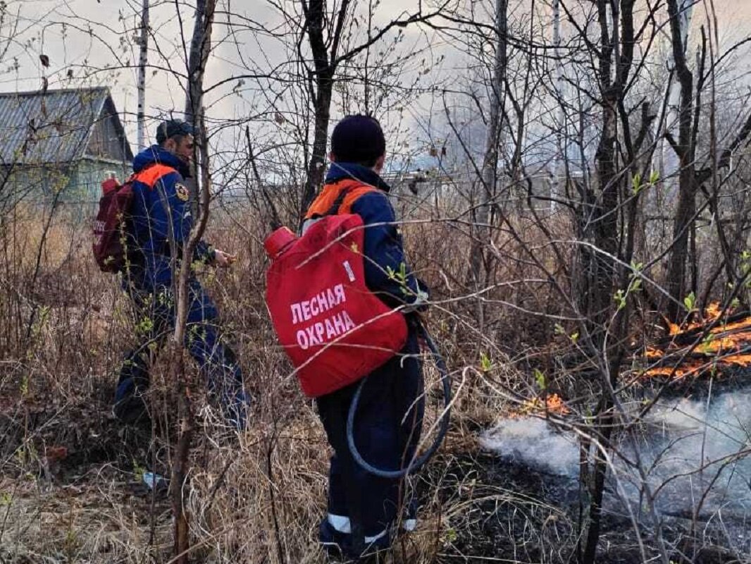 Меньше чем за сутки стихийный пожар, разгоняемый сильным ветром, уничтожил порядка 12 домов.  Фото: Фото предоставлено пресс-службой пресс-службой ГУ МЧС России по Хабаровскому краю