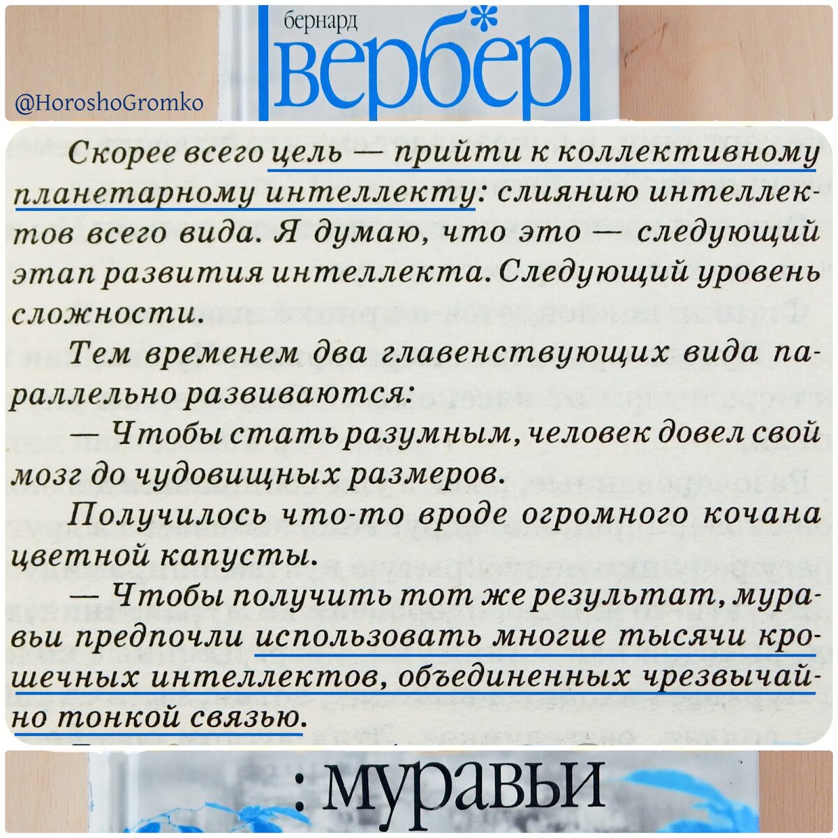 Возвращаясь к «‎Муравьям»‎‎ французского писателя-философа Бернарда Вербера. Одну мысль оттуда хочу обсудить отдельно. «‎Муравьи»‎ роман о муравьях.