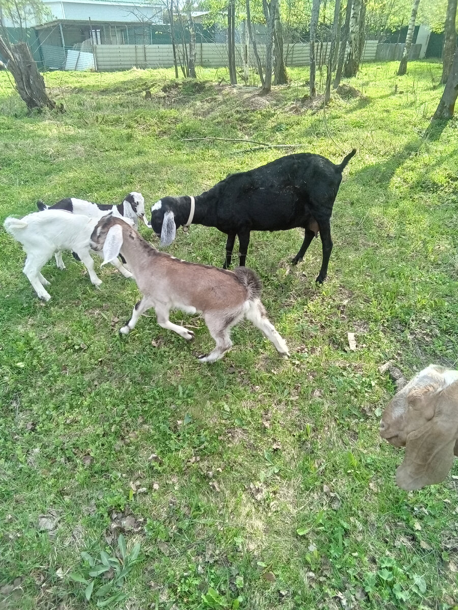 Фото автора. 