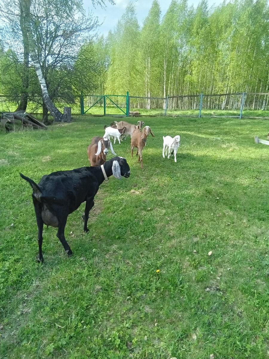 Фото автора. 