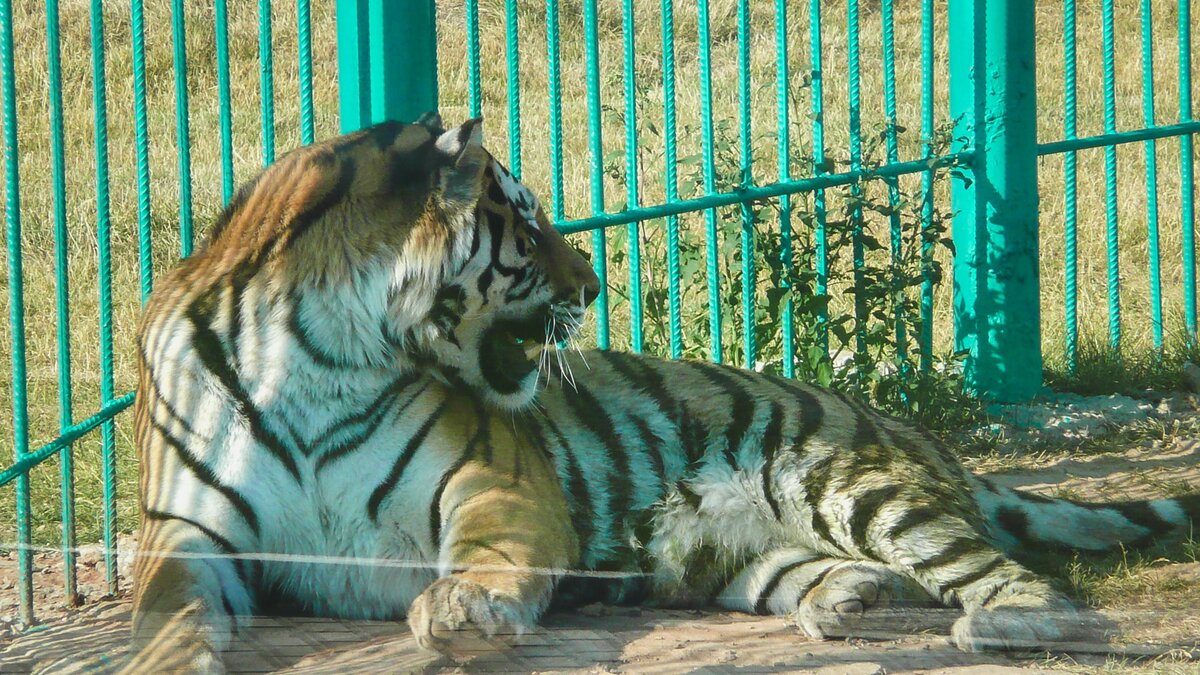     Источник: 1MI