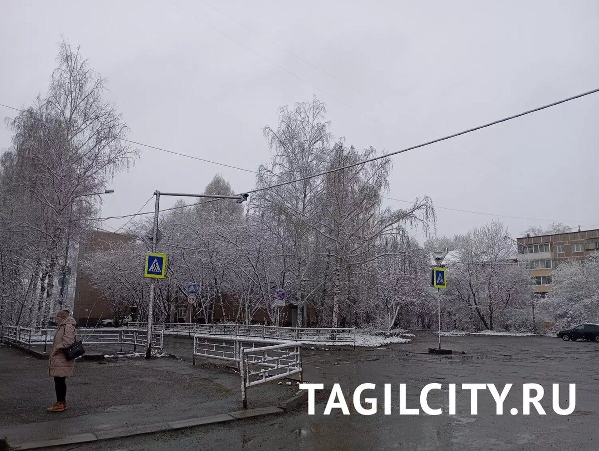 Улицы Нижнего Тагила засыпало мокрым снегом | Новости Тагила TagilCity.ru |  Дзен