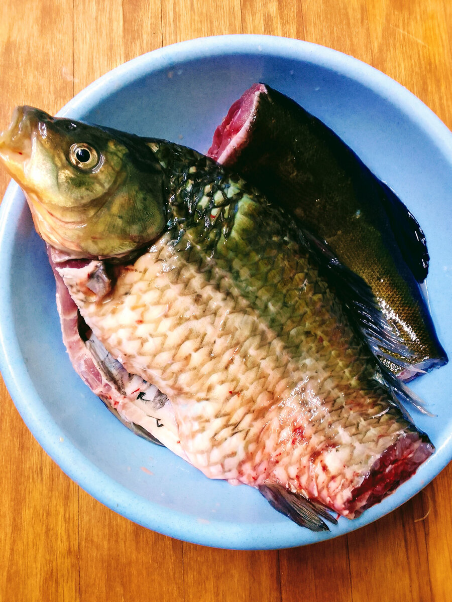 Огромный икряной карась и линь